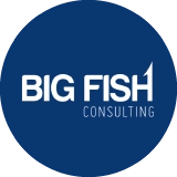 Big Fish Consulting