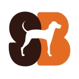 Standard Beagle