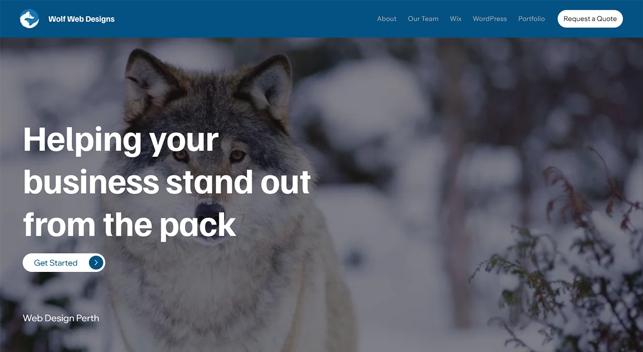 Wolf