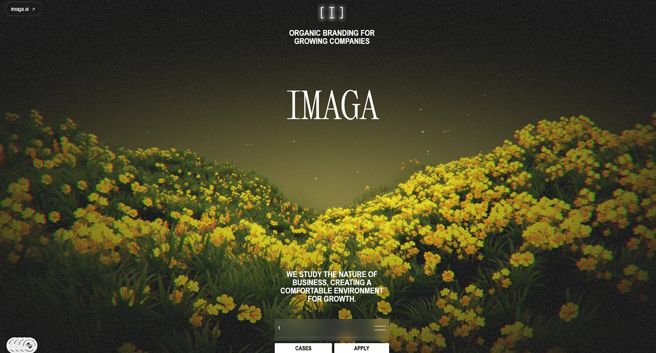 Imaga Branding