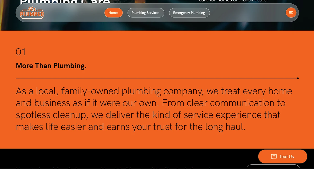 Mr. Plumber