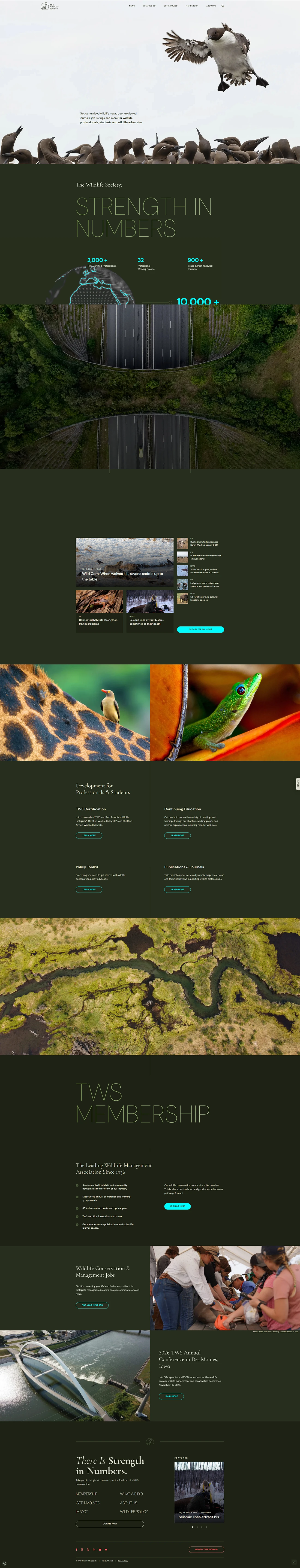 The Wildlife Society