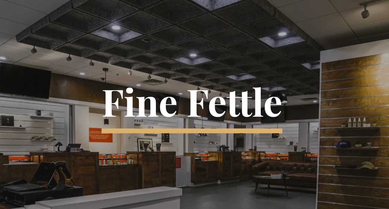 Fine Fettle x CCG: $6.4M in Meta Ad Revenue by Cannabis Creative Group