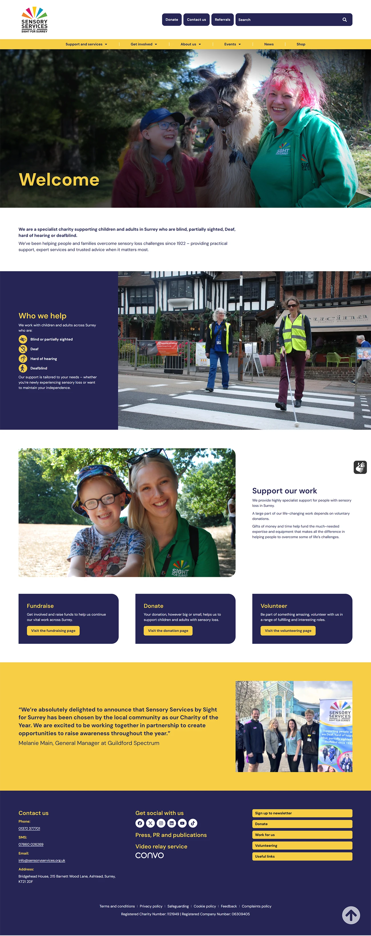 Sensory Services by Sight for Surrey by Creative Triangle